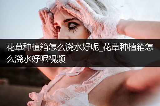 花草种植箱怎么浇水好呢_花草种植箱怎么浇水好呢视频