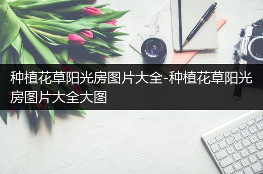 种植花草阳光房图片大全-种植花草阳光房图片大全大图