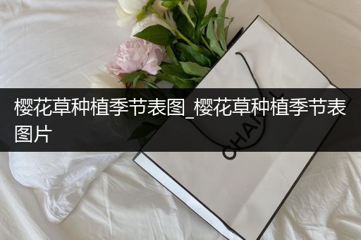 樱花草种植季节表图_樱花草种植季节表图片