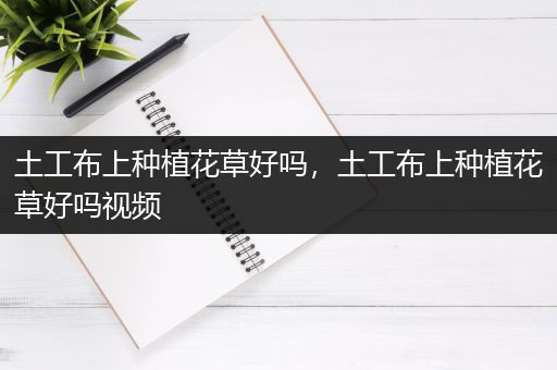 土工布上种植花草好吗，土工布上种植花草好吗视频