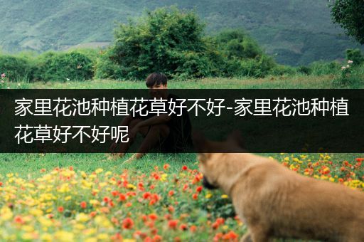 家里花池种植花草好不好-家里花池种植花草好不好呢