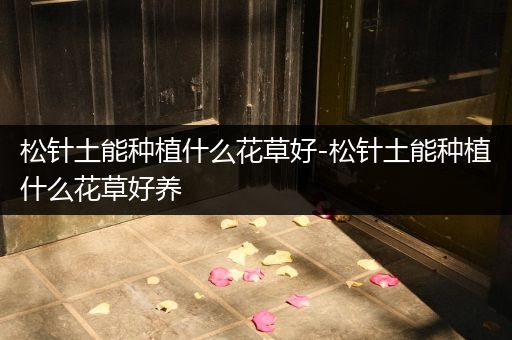 松针土能种植什么花草好-松针土能种植什么花草好养