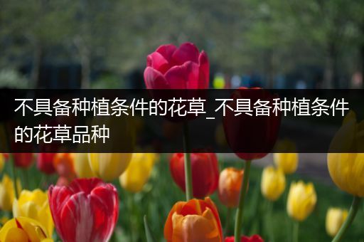 不具备种植条件的花草_不具备种植条件的花草品种