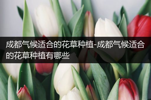 成都气候适合的花草种植-成都气候适合的花草种植有哪些