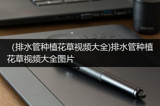 （排水管种植花草视频大全)排水管种植花草视频大全图片