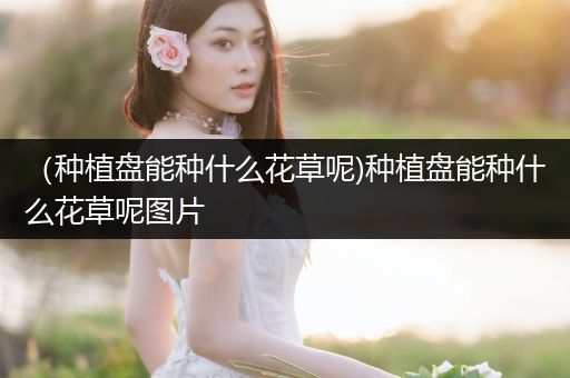 （种植盘能种什么花草呢)种植盘能种什么花草呢图片