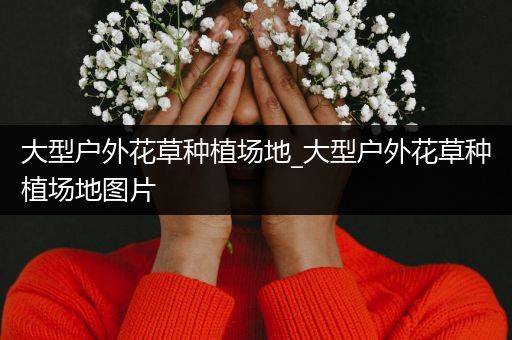 大型户外花草种植场地_大型户外花草种植场地图片