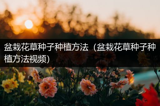 盆栽花草种子种植方法（盆栽花草种子种植方法视频）