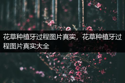 花草种植牙过程图片真实，花草种植牙过程图片真实大全