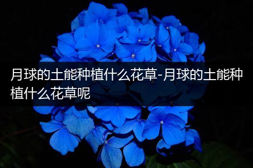 月球的土能种植什么花草-月球的土能种植什么花草呢