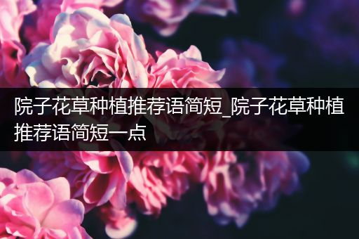 院子花草种植推荐语简短_院子花草种植推荐语简短一点