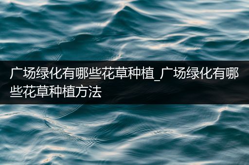 广场绿化有哪些花草种植_广场绿化有哪些花草种植方法