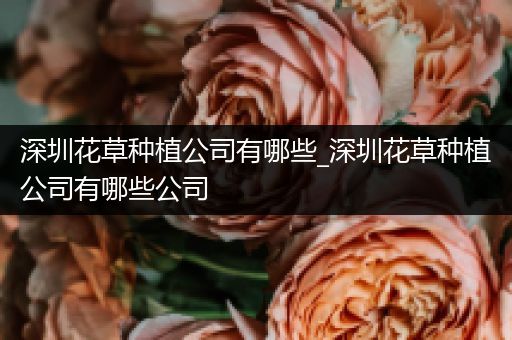 深圳花草种植公司有哪些_深圳花草种植公司有哪些公司
