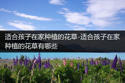 适合孩子在家种植的花草-适合孩子在家种植的花草有哪些