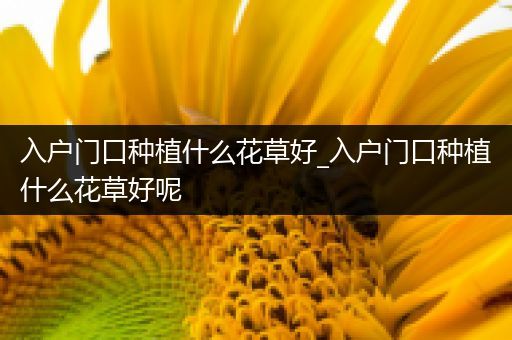 入户门口种植什么花草好_入户门口种植什么花草好呢