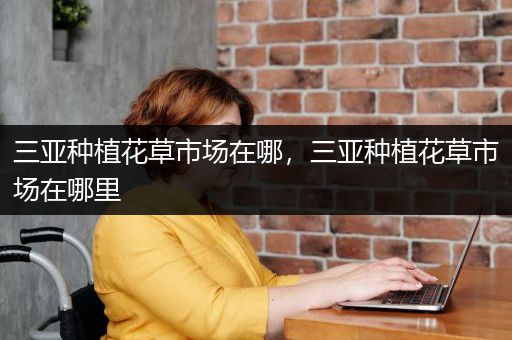 三亚种植花草市场在哪，三亚种植花草市场在哪里