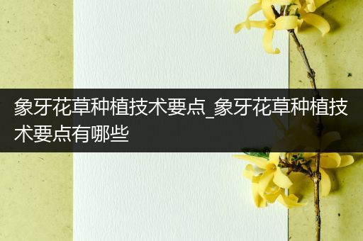 象牙花草种植技术要点_象牙花草种植技术要点有哪些