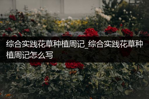 综合实践花草种植周记_综合实践花草种植周记怎么写