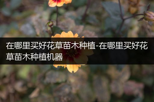 在哪里买好花草苗木种植-在哪里买好花草苗木种植机器