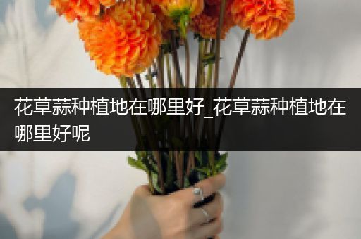 花草蒜种植地在哪里好_花草蒜种植地在哪里好呢