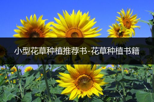 小型花草种植推荐书-花草种植书籍