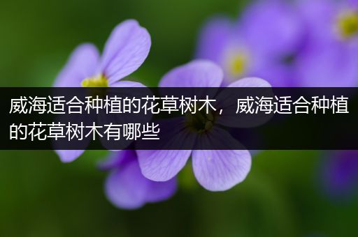 威海适合种植的花草树木，威海适合种植的花草树木有哪些
