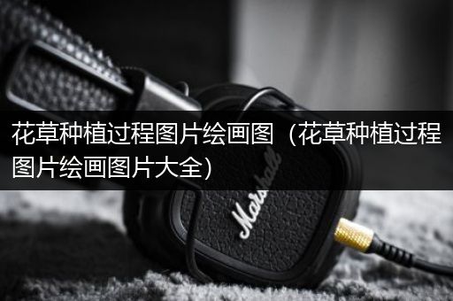 花草种植过程图片绘画图（花草种植过程图片绘画图片大全）