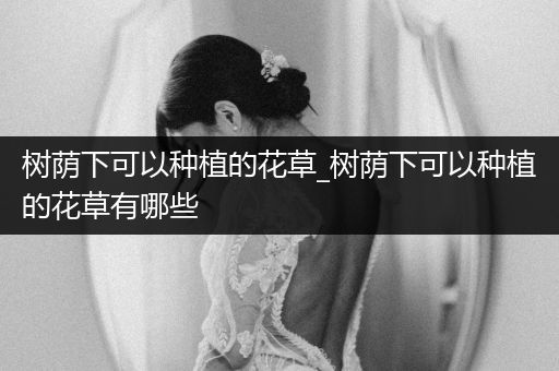 树荫下可以种植的花草_树荫下可以种植的花草有哪些