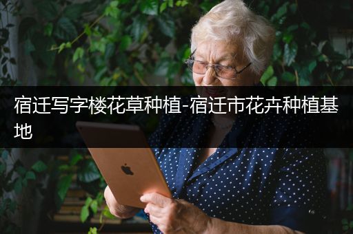 宿迁写字楼花草种植-宿迁市花卉种植基地