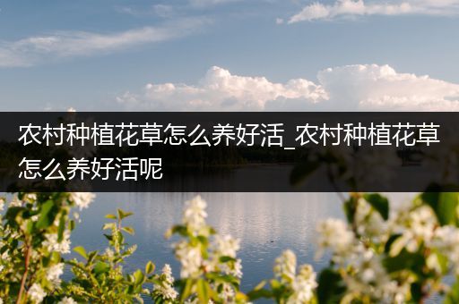 农村种植花草怎么养好活_农村种植花草怎么养好活呢