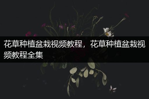 花草种植盆栽视频教程，花草种植盆栽视频教程全集