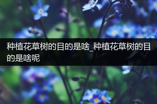 种植花草树的目的是啥_种植花草树的目的是啥呢
