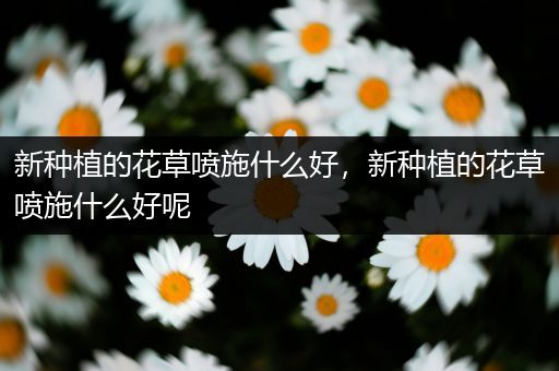 新种植的花草喷施什么好，新种植的花草喷施什么好呢