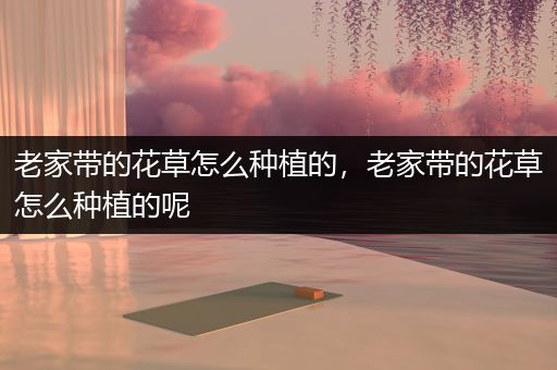 老家带的花草怎么种植的，老家带的花草怎么种植的呢
