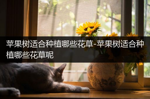 苹果树适合种植哪些花草-苹果树适合种植哪些花草呢