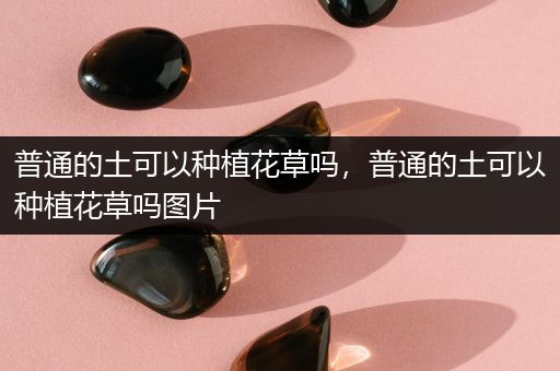 普通的土可以种植花草吗，普通的土可以种植花草吗图片