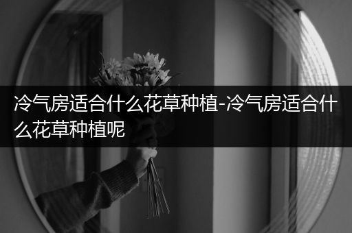 冷气房适合什么花草种植-冷气房适合什么花草种植呢