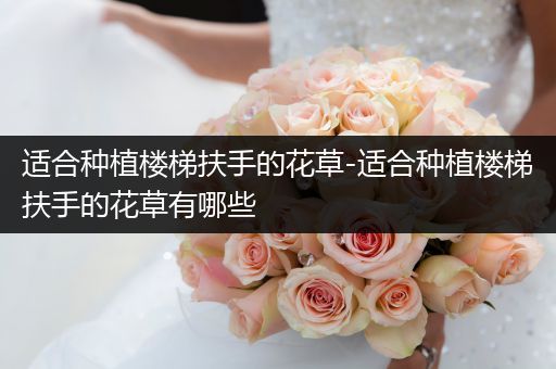 适合种植楼梯扶手的花草-适合种植楼梯扶手的花草有哪些