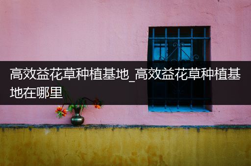 高效益花草种植基地_高效益花草种植基地在哪里