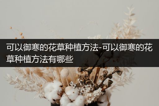 可以御寒的花草种植方法-可以御寒的花草种植方法有哪些