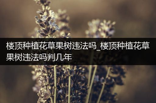 楼顶种植花草果树违法吗_楼顶种植花草果树违法吗判几年