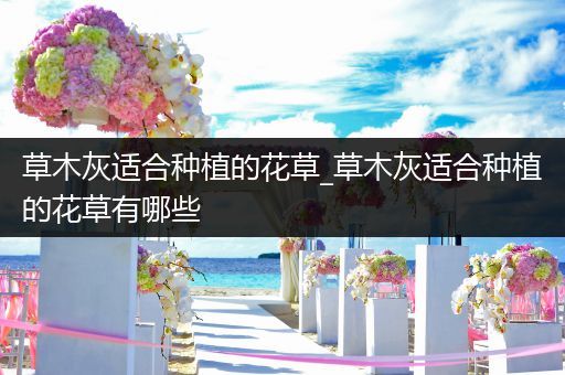 草木灰适合种植的花草_草木灰适合种植的花草有哪些