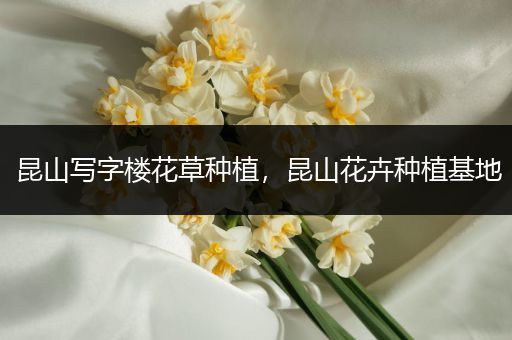 昆山写字楼花草种植，昆山花卉种植基地
