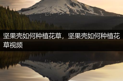 坚果壳如何种植花草，坚果壳如何种植花草视频