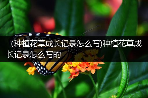 （种植花草成长记录怎么写)种植花草成长记录怎么写的