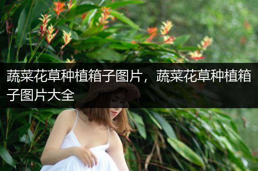 蔬菜花草种植箱子图片，蔬菜花草种植箱子图片大全