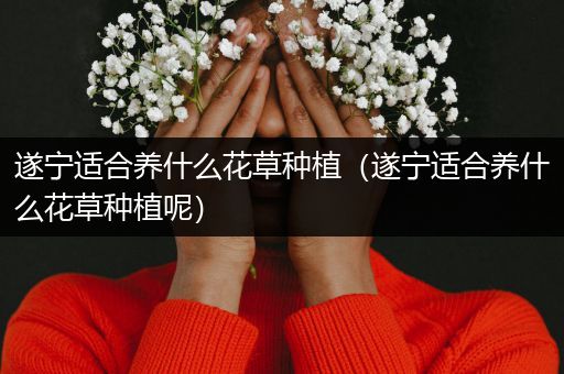 遂宁适合养什么花草种植（遂宁适合养什么花草种植呢）