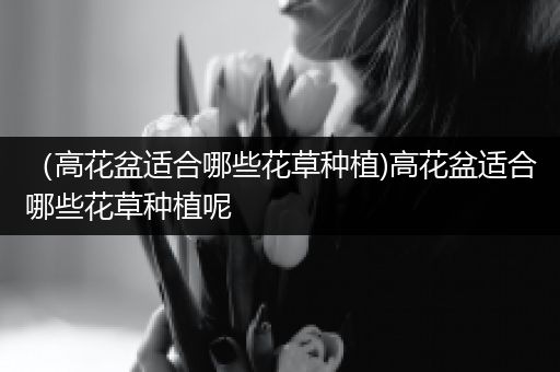 （高花盆适合哪些花草种植)高花盆适合哪些花草种植呢
