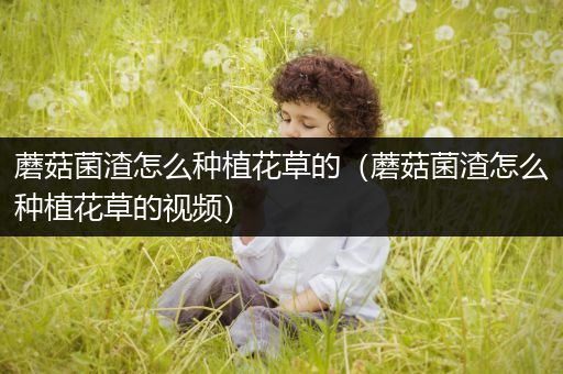 蘑菇菌渣怎么种植花草的（蘑菇菌渣怎么种植花草的视频）