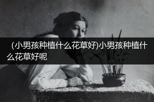 （小男孩种植什么花草好)小男孩种植什么花草好呢